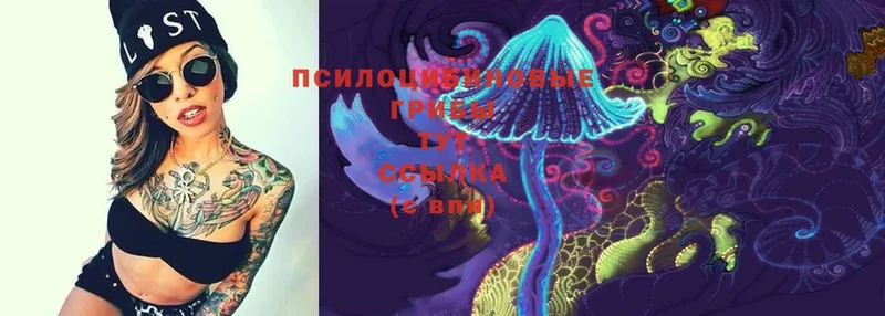 Галлюциногенные грибы MAGIC MUSHROOMS  купить закладку  Волчанск 