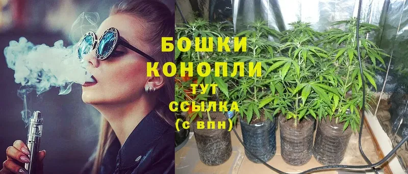 Конопля THC 21%  Волчанск 